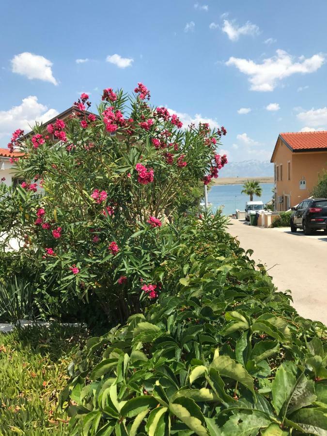 Apartmani Darija Vir Exteriér fotografie